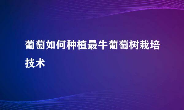 葡萄如何种植最牛葡萄树栽培技术