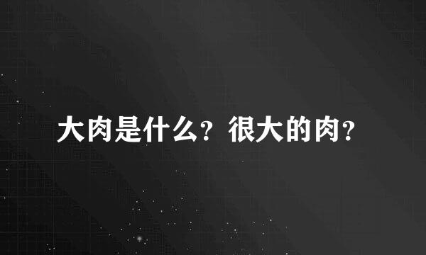 大肉是什么？很大的肉？