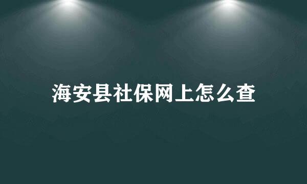 海安县社保网上怎么查