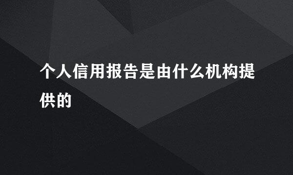 个人信用报告是由什么机构提供的