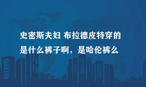 史密斯夫妇 布拉德皮特穿的是什么裤子啊，是哈伦裤么