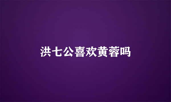 洪七公喜欢黄蓉吗