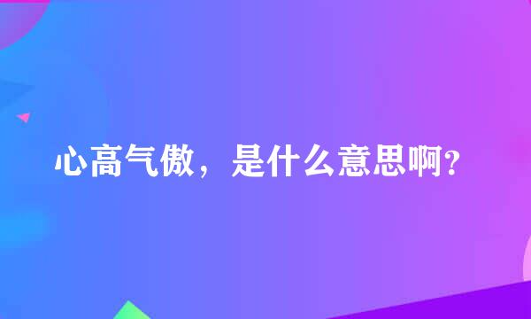 心高气傲，是什么意思啊？