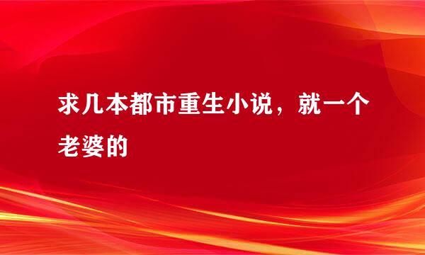 求几本都市重生小说，就一个老婆的