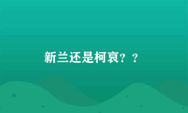 新兰还是柯哀？？