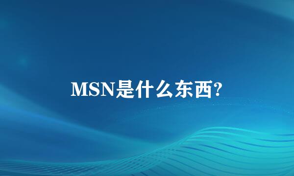 MSN是什么东西?