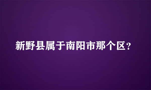 新野县属于南阳市那个区？