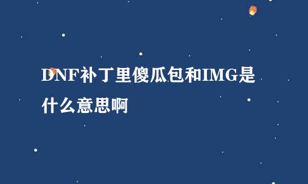 DNF补丁里傻瓜包和IMG是什么意思啊