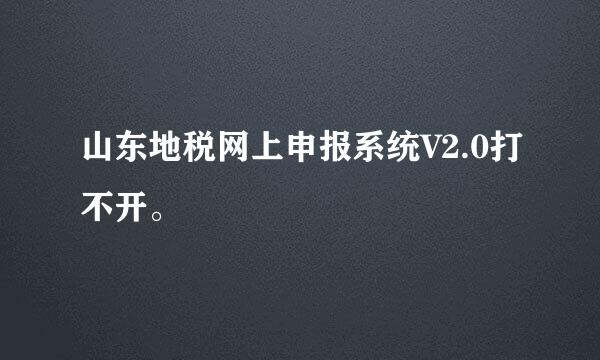 山东地税网上申报系统V2.0打不开。