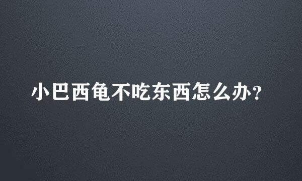 小巴西龟不吃东西怎么办？