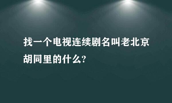 找一个电视连续剧名叫老北京胡同里的什么?