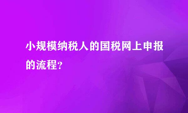 小规模纳税人的国税网上申报的流程？