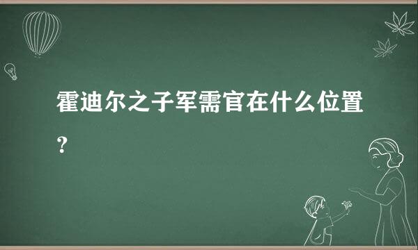 霍迪尔之子军需官在什么位置？