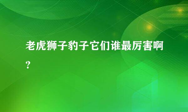 老虎狮子豹子它们谁最厉害啊？