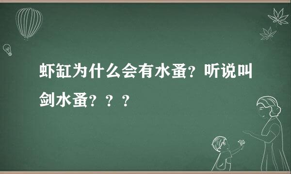 虾缸为什么会有水蚤？听说叫剑水蚤？？？