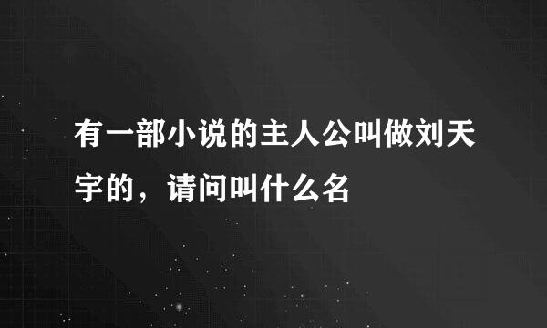 有一部小说的主人公叫做刘天宇的，请问叫什么名