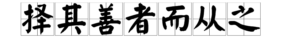 “择其善者而从之”中的“从”字是什么意思？