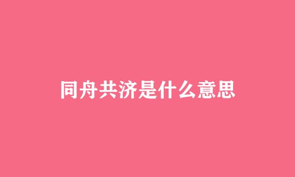 同舟共济是什么意思