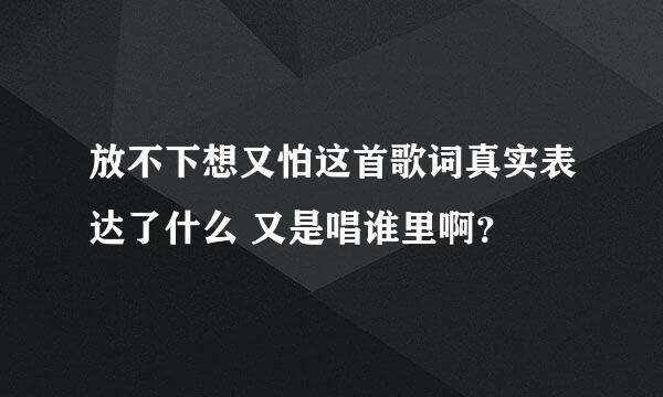 放不下想又怕这首歌词真实表达了什么 又是唱谁里啊？