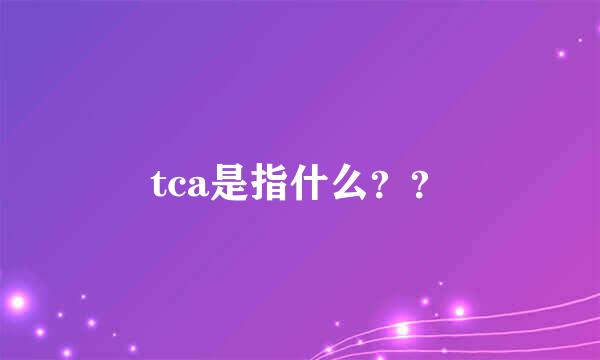 tca是指什么？？