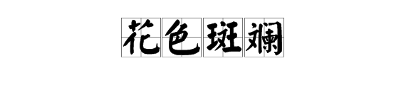 “花色（）（）”是什么成语？