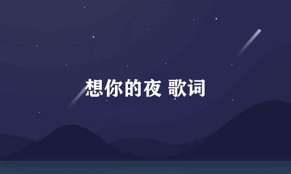 想你的夜 歌词