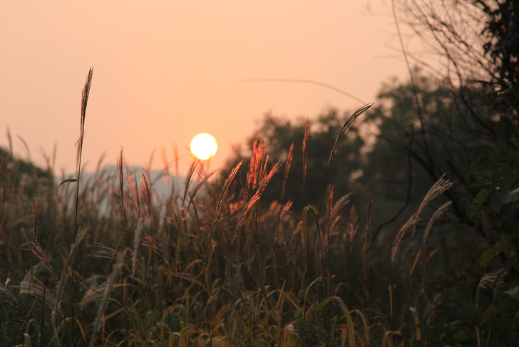 长亭外 古道边芳草碧连天 歌词