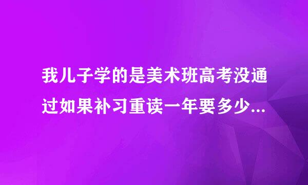 我儿子学的是美术班高考没通过如果补习重读一年要多少学费哪个学挍收复读生