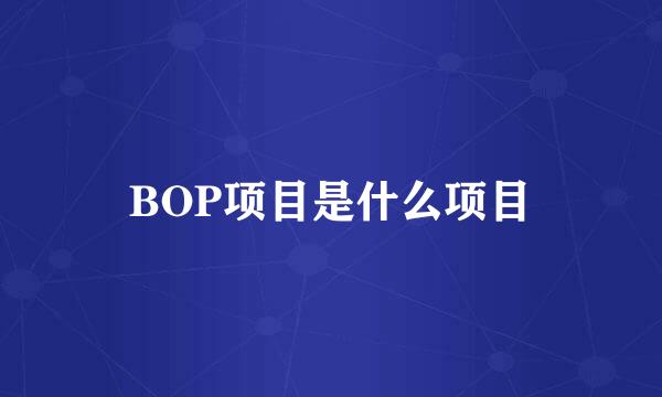 BOP项目是什么项目