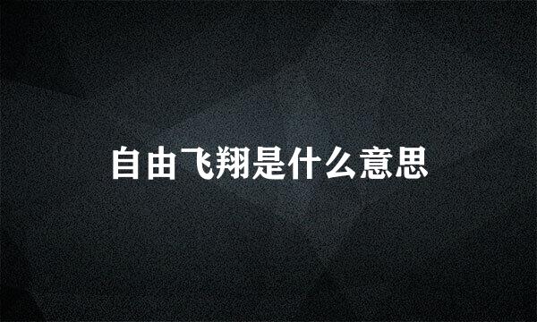 自由飞翔是什么意思