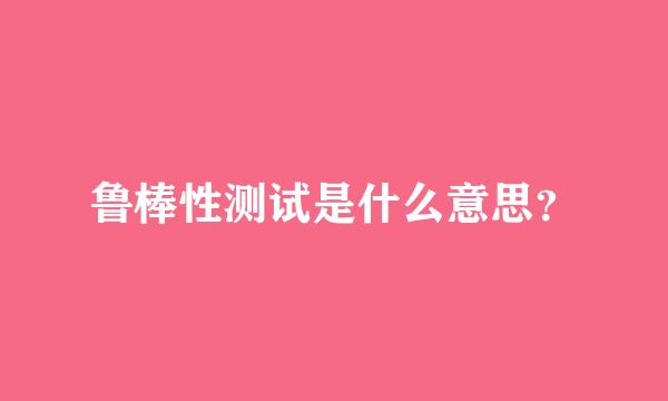 鲁棒性测试是什么意思？