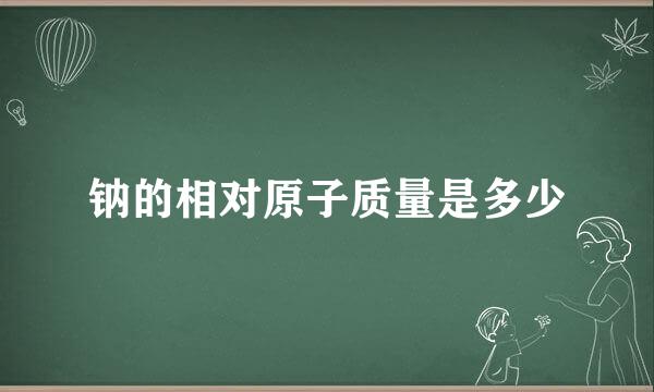 钠的相对原子质量是多少