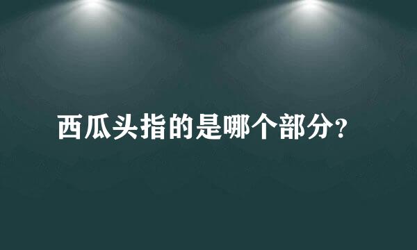 西瓜头指的是哪个部分？