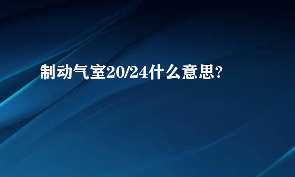 制动气室20/24什么意思?