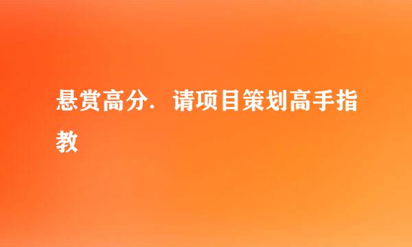 悬赏高分．请项目策划高手指教