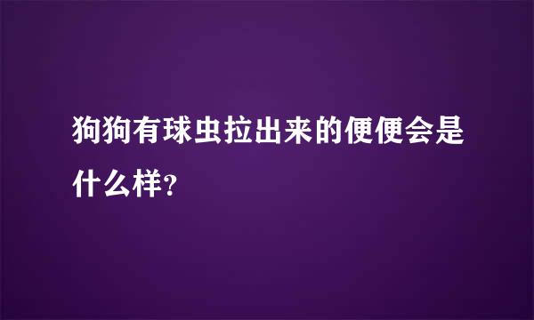 狗狗有球虫拉出来的便便会是什么样？