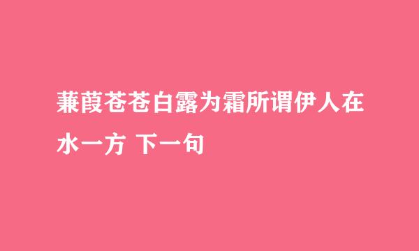 蒹葭苍苍白露为霜所谓伊人在水一方 下一句