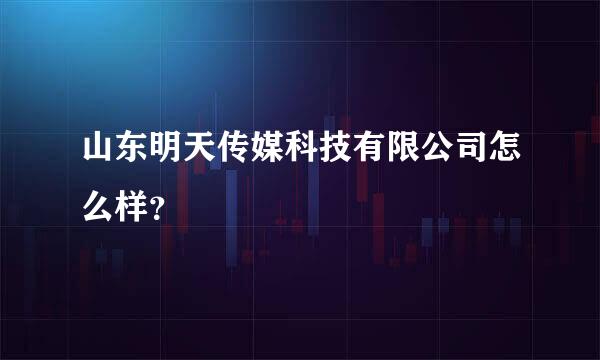 山东明天传媒科技有限公司怎么样？