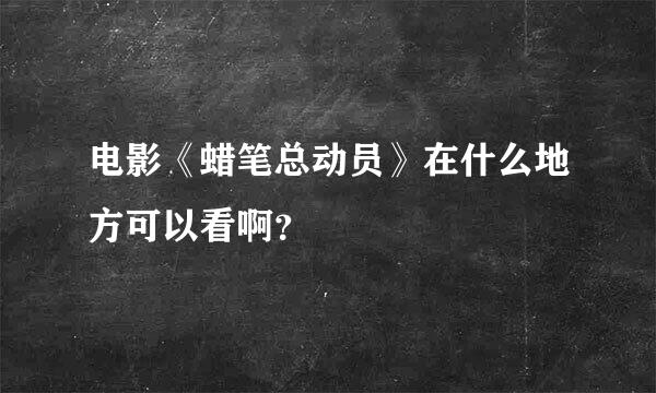 电影《蜡笔总动员》在什么地方可以看啊？