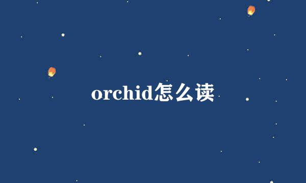 orchid怎么读