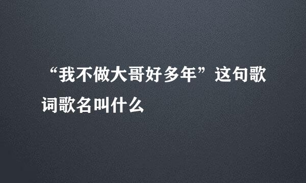 “我不做大哥好多年”这句歌词歌名叫什么