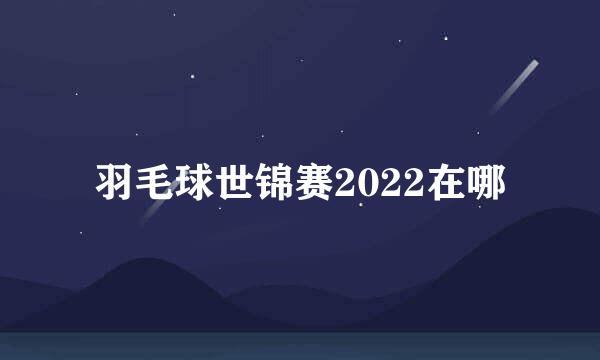 羽毛球世锦赛2022在哪