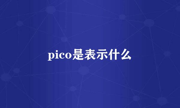 pico是表示什么