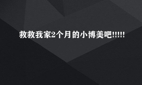 救救我家2个月的小博美吧!!!!!