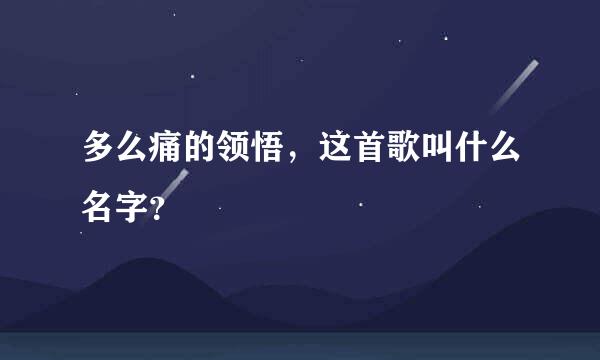 多么痛的领悟，这首歌叫什么名字？