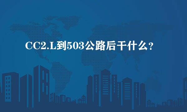 CC2.L到503公路后干什么？