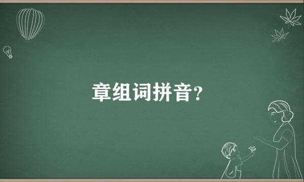 章组词拼音？