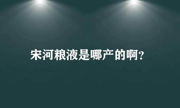 宋河粮液是哪产的啊？