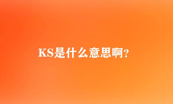 KS是什么意思啊？