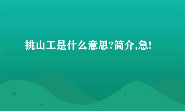 挑山工是什么意思?简介,急!